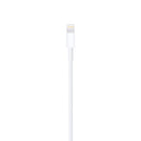 APPLE Câble Lightning vers USB (2m)